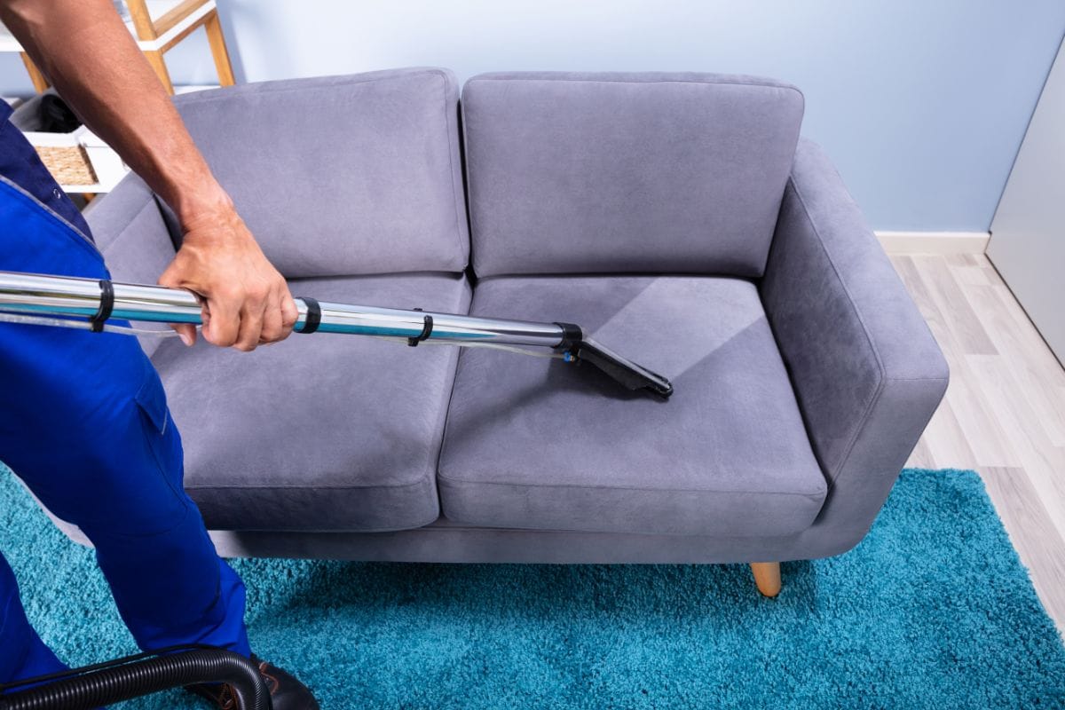 Sofa Cleaning Services: The Secret to a Cleaner, Healthier, and More Comfortable Home